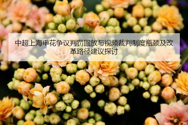 zhong-chao-shang-hai-shen-hua-zheng-yi-pan-fa-hui-fang-yu-shi-pin-cai-pan-zhi-du-ping-jing-ji-gai-ge-lu-jing-jian-yi-2-299.jpg